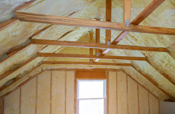 Best Insulation for Specific Applications in Yalaha, FL