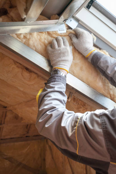 Best Types of Insulation in Yalaha, FL